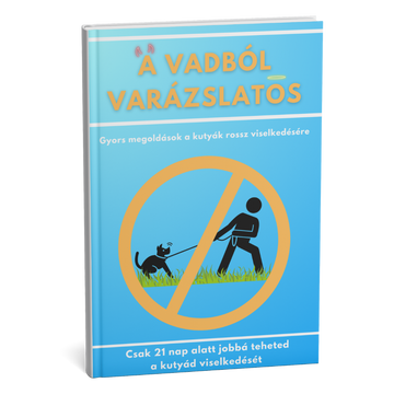 A legkeresettebb útmutató kutyája engedelmességének javításához mindössze 21 nap alatt